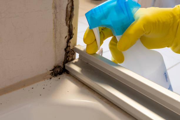 Best Mold Testing  in Fargo, ND