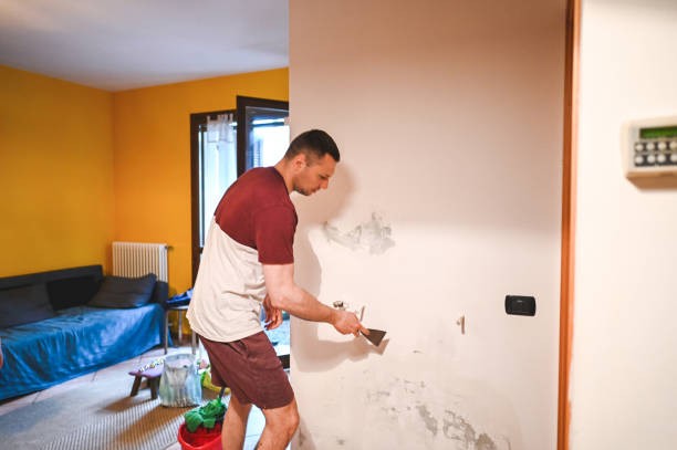Best Professional Mold Removal  in Fargo, ND